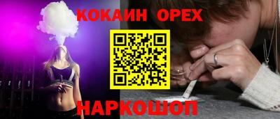 амф Кингисепп