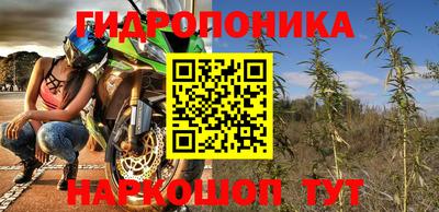 амф Кингисепп
