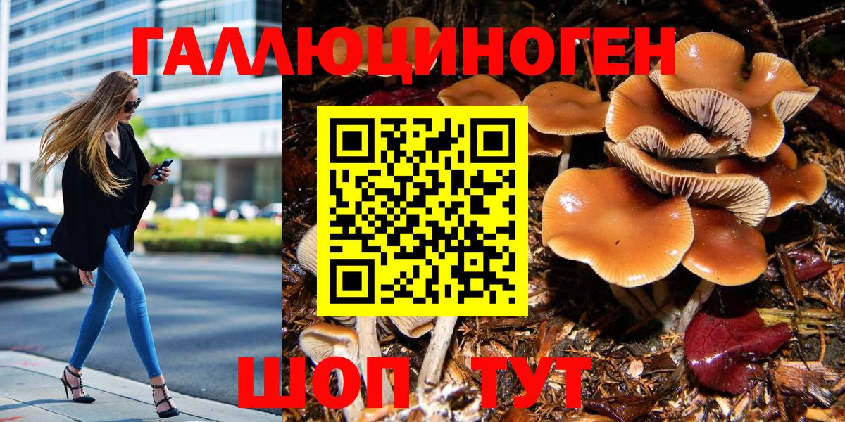 Псилоцибиновые грибы мицелий  Вход с VPN  Красноуфимск 